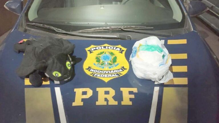 Boliviano é preso pela PRF com cocaína escondida em brinquedo de pelúcia na BR-262