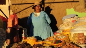 Leia mais sobre o artigo Como Bolívia escapou da inflação que atinge América Latina