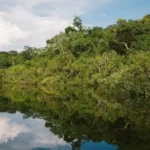 STF derruba três decretos de Bolsonaro no julgamento do “Pacote Verde”