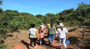 Feriado é oportunidade de conhecer destinos turísticos sem igual em Mato Grosso do Sul 5 Parque Matas do Segredo 300x166 2