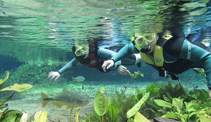 Feriado é oportunidade de conhecer destinos turísticos sem igual em Mato Grosso do Sul 9 Rio Sucuri Bonito VisitMS 730x425 1