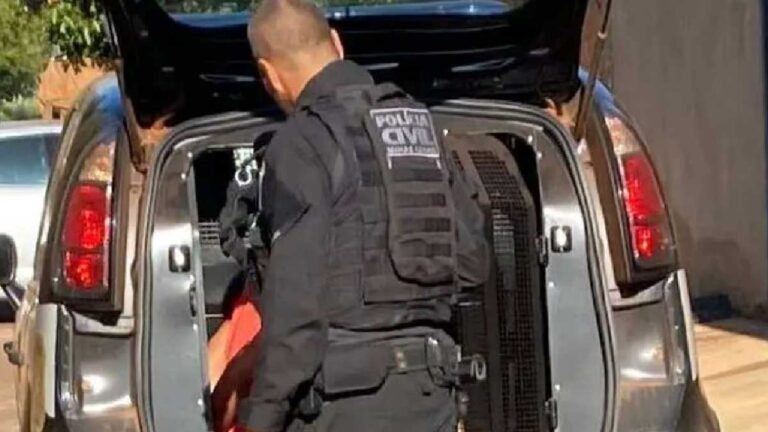 Criança de 5 anos é incendiada e morre durante ritual satânico em Minas Gerais