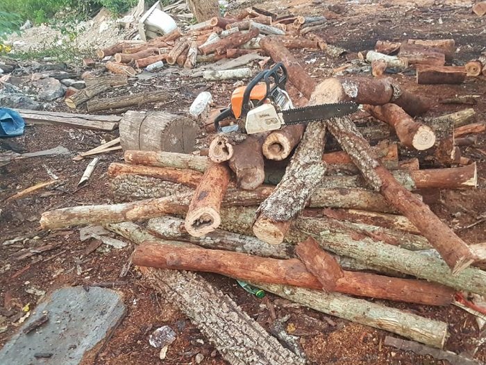Você está visualizando atualmente PMA encontra área de extração ilegal de madeira em Ladário