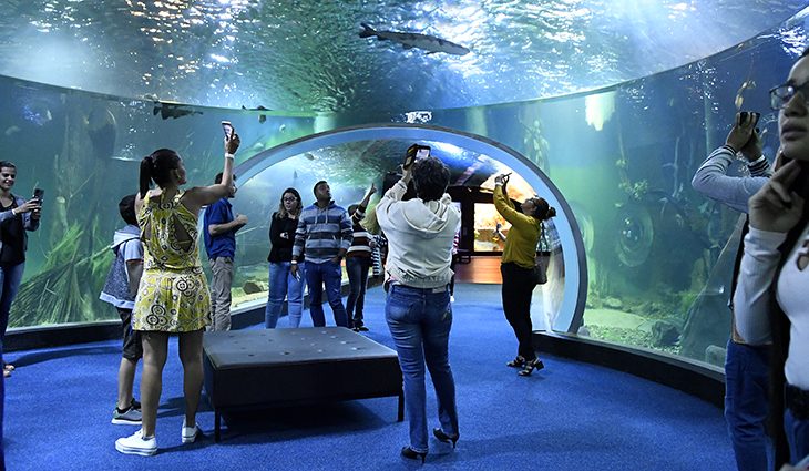 Bioparque Pantanal abre inscrições para visitação em junho a partir de segunda-feira