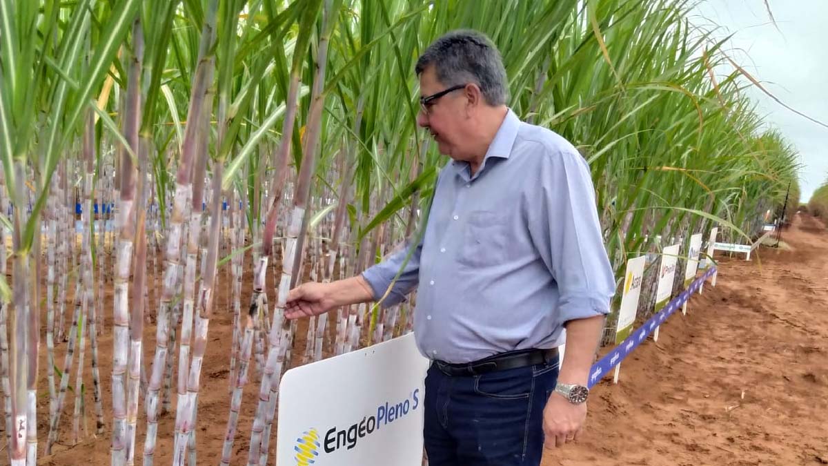 Leia mais sobre o artigo Em Nova Alvorada, Evander destaca potencialidade da Cana de açúcar no desenvolvimento do estado