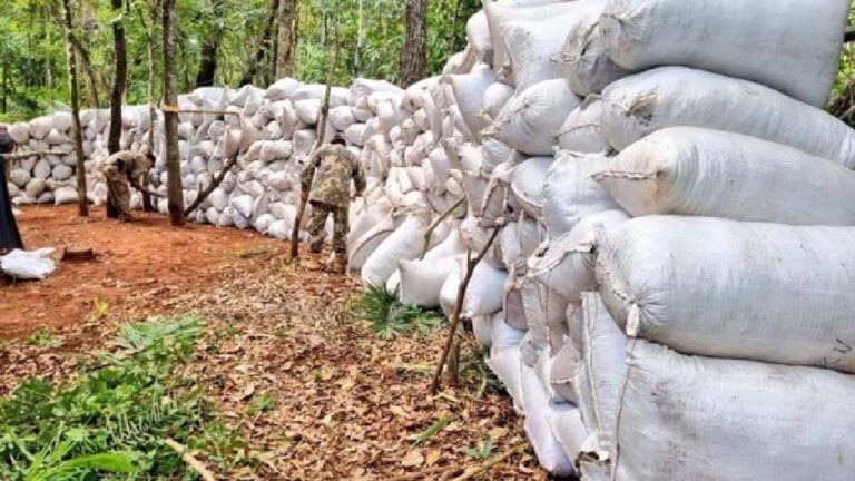 Polícia Paraguaia realiza maior apreensão de maconha da história no país; 50 toneladas