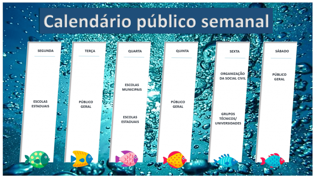 visitacao bioparque