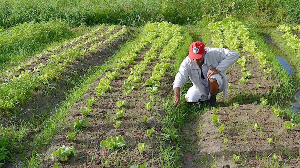 Leia mais sobre o artigo Marquinhos defende fortalecimento da agricultura familiar e reforça atenção aos que passam dificuldade