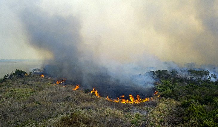 “Queima controlada” está proibida até o final do ano em Mato Grosso do Sul