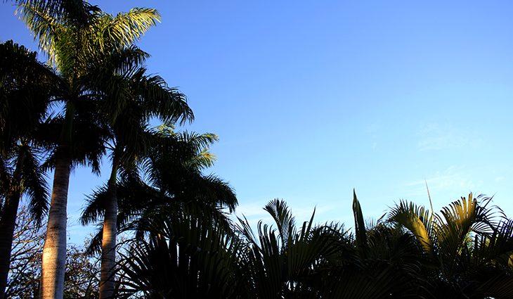 Meteorologia prevê mais um dia seco em MS