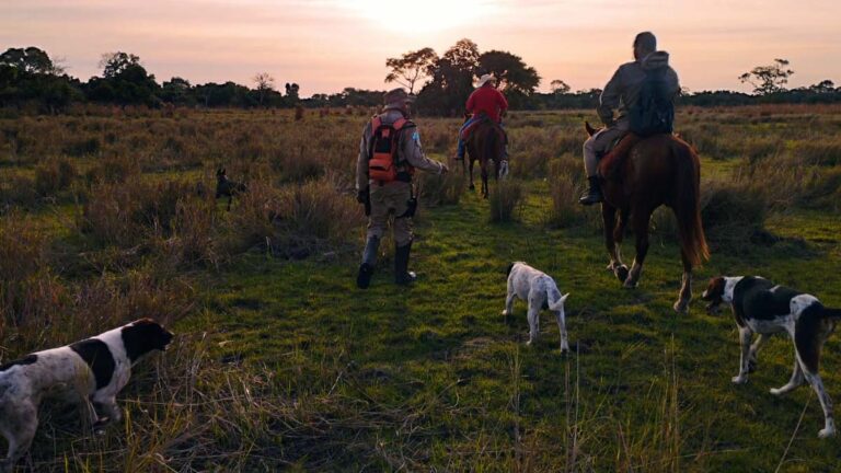 Bombeiros prosseguem com buscas por trabalhador desaparecido na região do Paiaguás