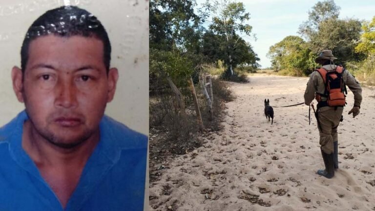 Busca por trabalhador desaparecido no Pantanal entra no terceiro dia