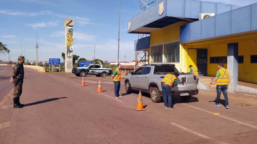 Três Onças-Pintadas morreram atropeladas nos últimos seis meses em MS 2 conscientizacao