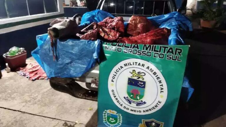 Cinco são presos com gado abatido dentro de veículo em MS