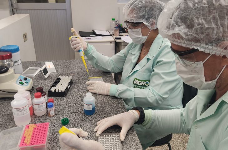 Iagro obtém credenciamento para diagnóstico de peste suína clássica e doença de Aujeszky em MS