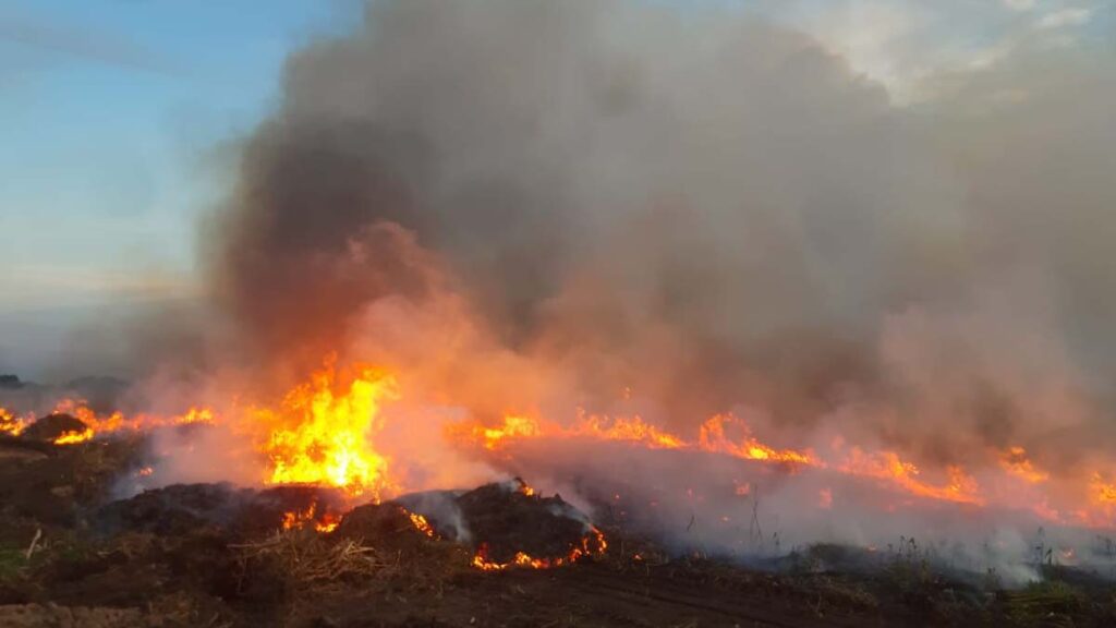 Bombeiros atuam em três frentes de combate aos incêndios no Pantanal 4 inceindio abobral3