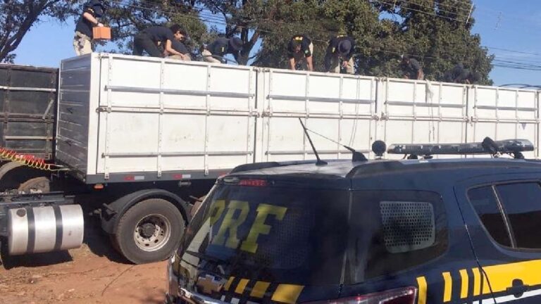PRF apreende 12 toneladas de maconha escondidas em meio a carga de tijolos em Campo Grande