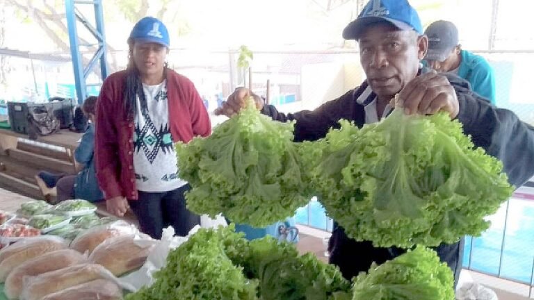 Pró Pantanal garante incentivo à agricultura familiar em Corumbá e Ladário