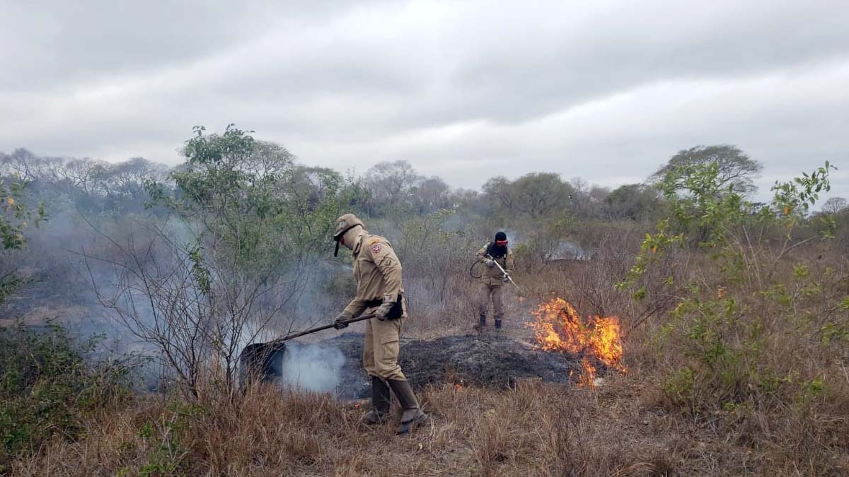 Você está visualizando atualmente Mês de julho registrou queda de 42% em focos de calor no Pantanal