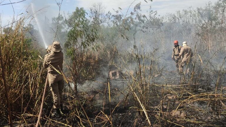 Bombeiros combatem incêndio de grande proporção em terreno na área urbana de Corumbá