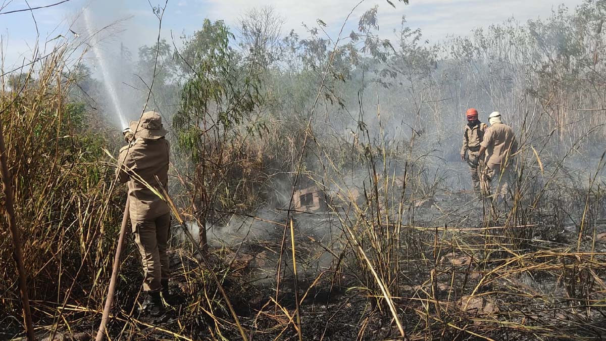 Você está visualizando atualmente Bombeiros combatem incêndio de grande proporção em terreno na área urbana de Corumbá
