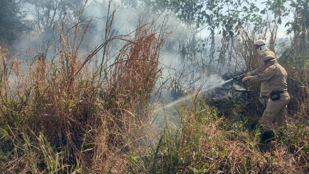 incendio vegetacao2