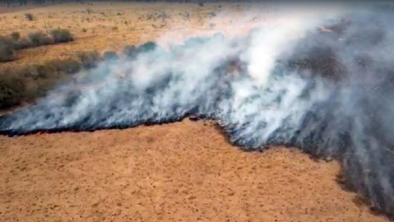 Incêndio no Pantanal forma cortina de fumaça na região de Porto Murtinho