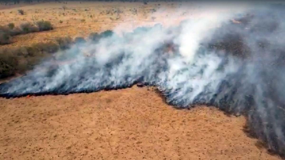 Você está visualizando atualmente Incêndio no Pantanal forma cortina de fumaça na região de Porto Murtinho