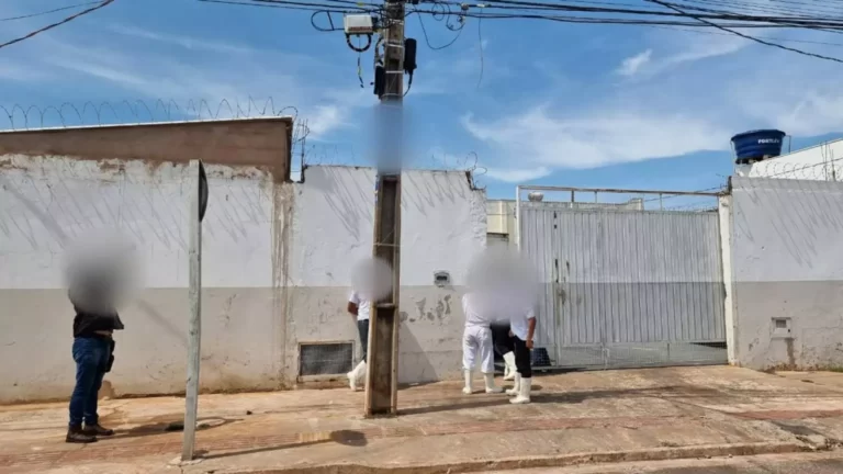 Operação apreendeu 5 toneladas de carne podre na Capital