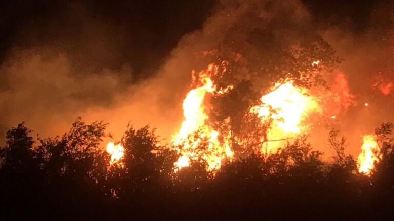 Bombeiros e brigadistas do IHP combatem focos de incêndios na Serra do Amolar