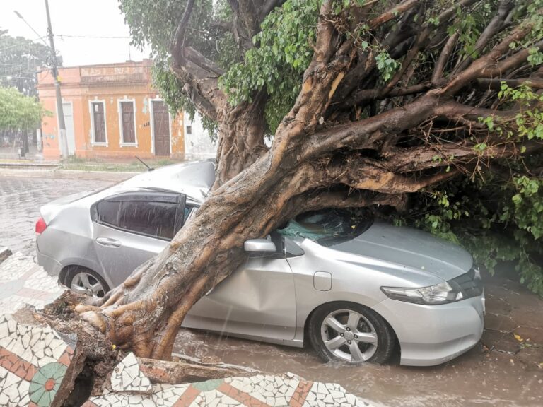 Vendaval deixa rastro de destruição em Corumbá
