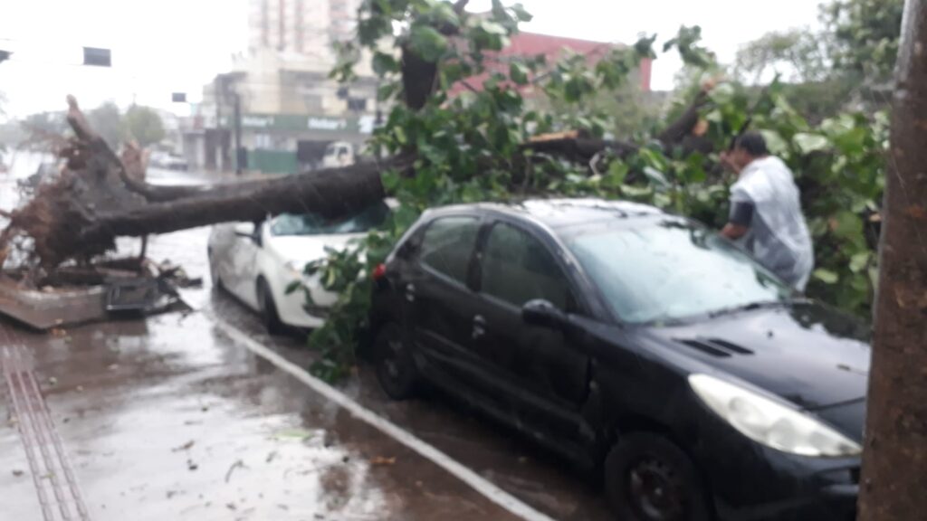 Corumbá registrou 2ª maior ventania do país; ventos chegaram a 86 km/h 8 IMG 20221006 WA0040