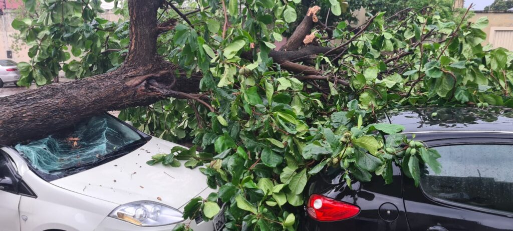 Corumbá registrou 2ª maior ventania do país; ventos chegaram a 86 km/h 4 IMG 20221006 WA0096