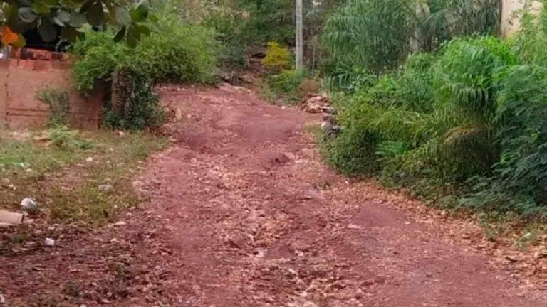 Vereador apresenta solicitação de moradores por pavimentação em alameda no Popular Velha