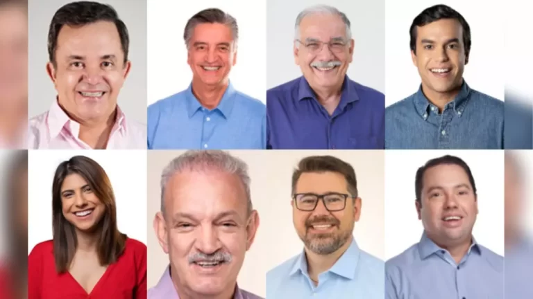 4 deputados federais são reeleitos e 4 são eleitos para representar MS na Câmara