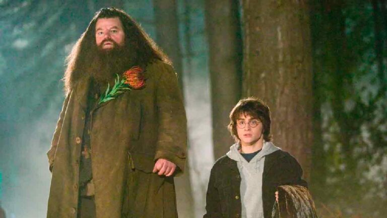 Ator que viveu Hagrid em ‘Harry Potter’, morre aos 72 anos