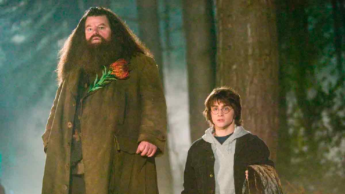 Você está visualizando atualmente Ator que viveu Hagrid em ‘Harry Potter’, morre aos 72 anos