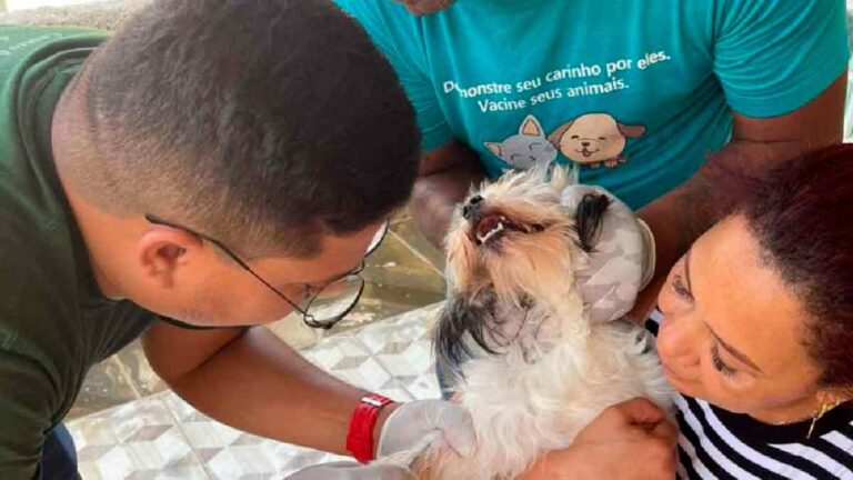 Corumbá inicia plano de ação para intensificar vigilância e controle da leishmaniose visceral