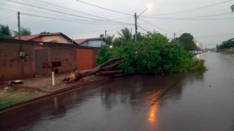 Em Corumbá, Corpo de Bombeiros recebeu sete solicitações por queda de árvores