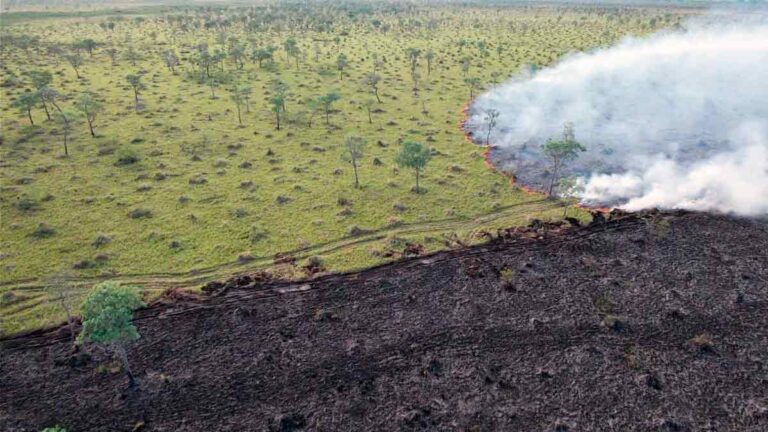 Bombeiros monitoram incêndios nas regiões de Porto Murtinho e Aquidauana