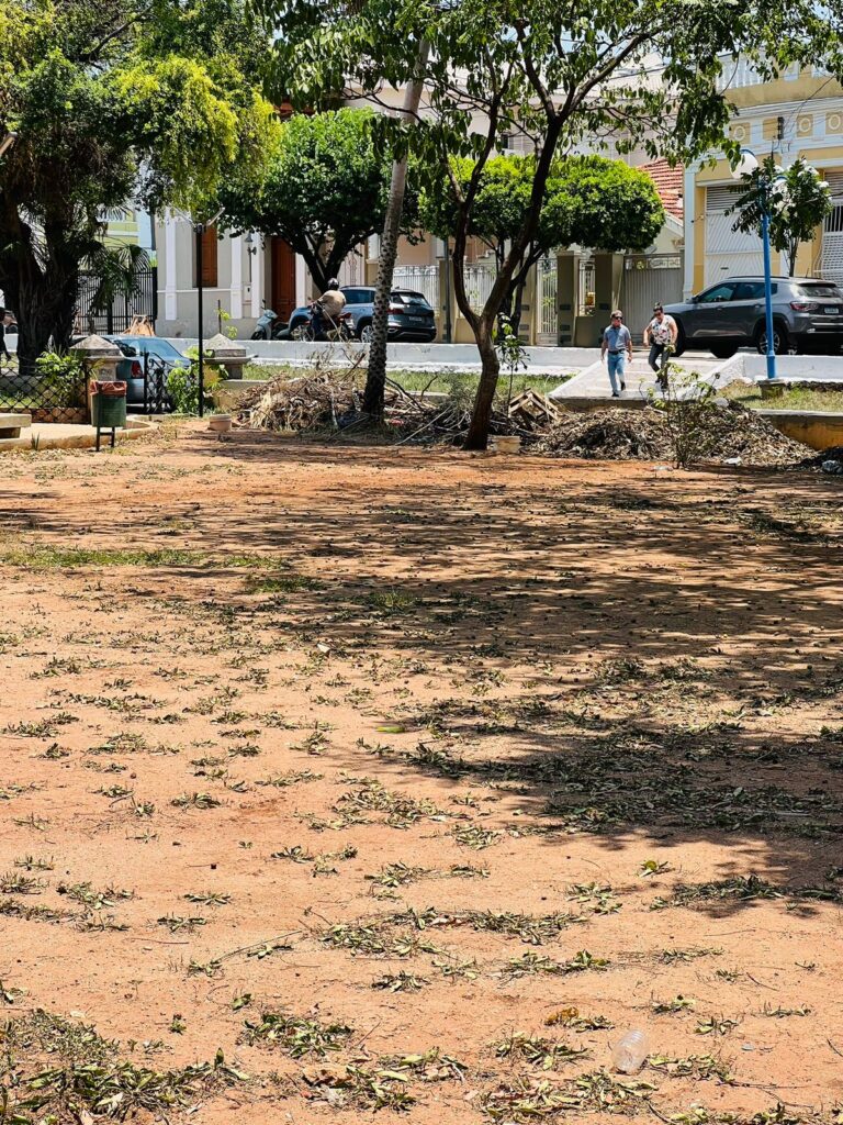 Imagem do WhatsApp de 2022 11 09 as 13.02.52