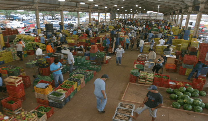 Ceasa/MS normaliza abastecimento e preços já apresentam queda