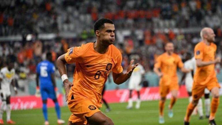 Holanda sofre, mas vence Senegal por 2 x 0 em sua estreia da Copa