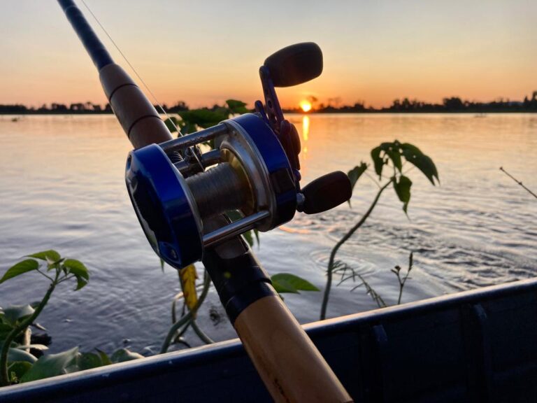 ACERT anuncia estratégias para promover a pesca esportiva no Pantanal