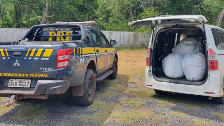 PRF apreende carregamento com 115 quilos de folha de coca em Corumbá