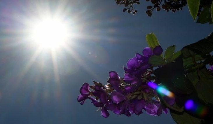 Sábado tem previsão de aumento de temperatura e chuvas isoladas em MS