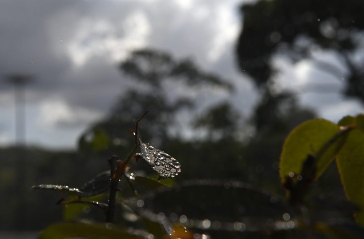 Tempo Fto Bruno Rezende 730x480 1