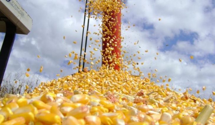 Exportações de MS fecham o ano de 2022 em US$ 8,2 bilhões, o maior valor da série história do Estado