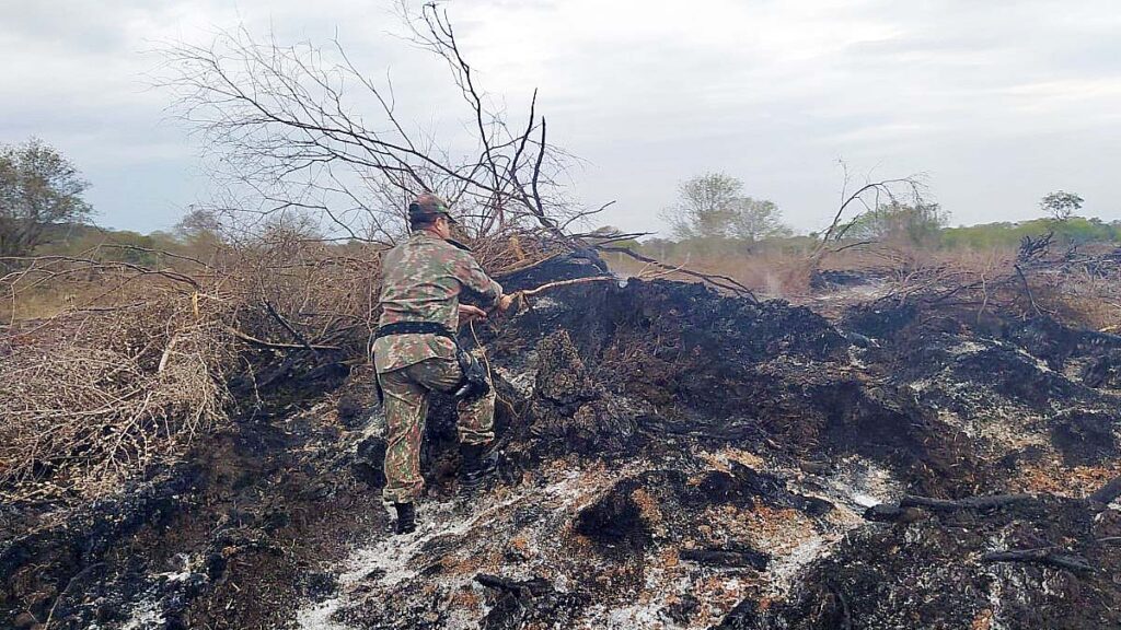 queimadas controle