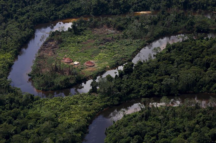 2023 01 25t191116z 1 lynxmpej0o0t0 rtroptp 4 brasil yanomami
